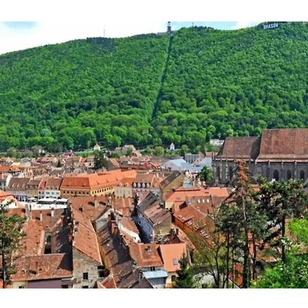 Andy'S Coresi Mountain View